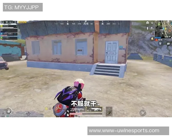 揭秘和平精英成功背后的秘密与黄伟的独特见解